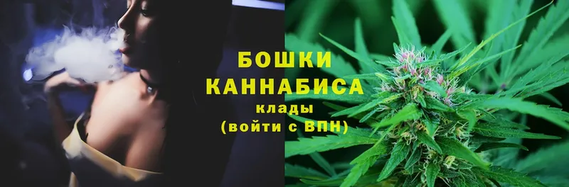 Конопля OG Kush  магазин    Санкт-Петербург 